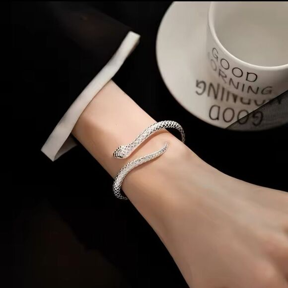 Silver Serpents Snake Bracelet-Bold and Elegant - Picture 1 of 13